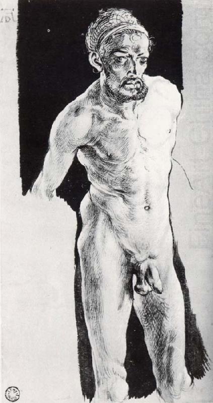 Self-portrait in the nude, Albrecht Durer